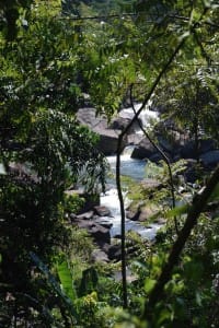 Waterfall at Sinharaja Rain Forest 